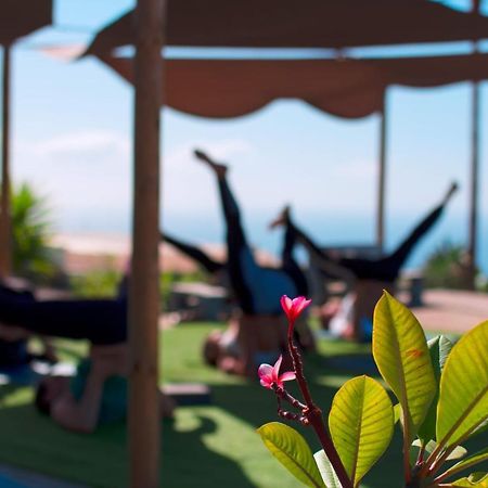 Chío Eco Camping Nueva Vidaゲストハウス エクステリア 写真