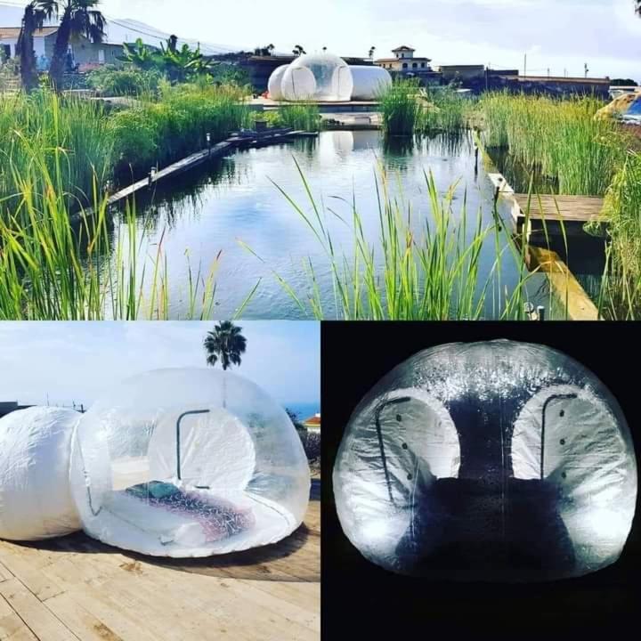 Chío Eco Camping Nueva Vidaゲストハウス エクステリア 写真