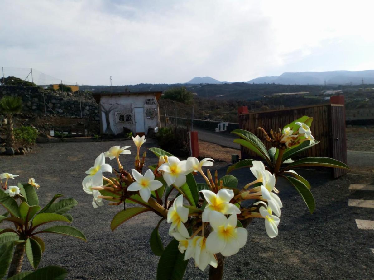 Chío Eco Camping Nueva Vidaゲストハウス エクステリア 写真
